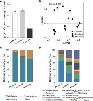 Land use alters diazotroph community structure by regulating bacterivores in Mollisols in Northeast China